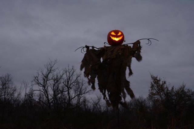 14681793_10154191640509542_7768479777907906412_n